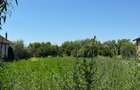 Teren intravilan de 2000 mp, în Hălchiu - 3