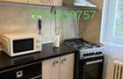 Apartament 2 camere de inchiriat Pajura - 4