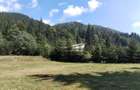 Teren Valea Ilvei (Lunca Bradului-jud. Mures) Parcul National Calimani - 1