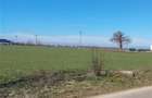 Teren Construcții intravilan de 7811 mp, în Ciolpani - 2