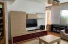 Apartament 2 camere Brancusi - 5