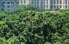Apartament spațios cu 4 camere, vedere spectaculoasă către Palatul Parlamentului - 1