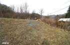 Teren Intravilan de vanzare, Provita de Sus - 3