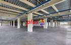 Spațiu comercial, de 600 mp, în Bartolomeu - 8