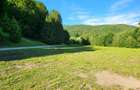 Teren Construcții de 12000 mp, în Vama Buzăului - 11