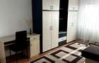Inchiriere Apartament/Garsoniera - 1 Camera in Nufarul - 4