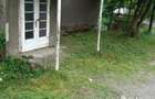 2 case de vinzare IN BOIAN 25000 eur pe casa - 2