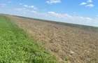 Vand teren extravilan Slobozia Moara, Dambovi?a - 4