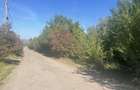 Teren Construcții intravilan de 15046 mp, în Bună Ziua - 2