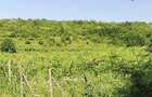 Parcele teren intravilan Valea Calugareasca 500mp - 1