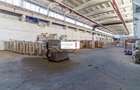 Spațiu industrial, de 9,347 mp, în Est - 6
