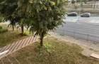 Apartament cu 2 camere decomandat în Mangalia - 1