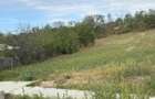 Vand teren Arges comuna buzoiesti sat cornatel - 1
