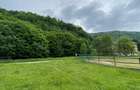 Teren intravilan de 2750 mp, în Brebina - 7