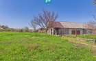 Casă solidă cu 5 camere in localitatea Almaș, Arad - 24