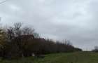 Vanzare teren intravilan 5014mp Afumati - Strada Sperantei - 1
