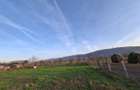 4.443 mp pozi?iona?i direct la DJ678A, cu 39,57 m front stradal . - 7