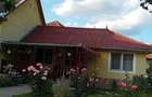Casa de vanzare in Vetel - 4