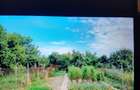 Casa veche locuibila + 900 mp teren - 8