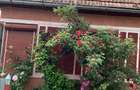 Casă cu 3 camere în Filea - 4