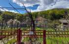 Vila P+E cu teren 2559 mp, vie, garaj, izvor - Borosteni, Gorj - 12