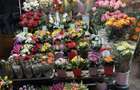 Vand chiosc florarie Calea Bucuresti - 6