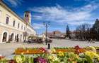 Caut chirie in sfantu gheorghe - 1