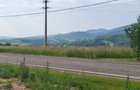 Casă individuală cu 3 camere cu Teren 5000 Mp în Exterior Nord - 4