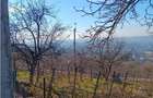 Teren Construcții intravilan de 1500 mp, în Bucium - 4