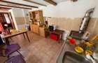 Casa pe un singur nivel+2974mp teren in Aciliu - 10