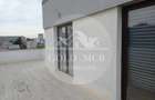 Apartament cu 5 camere decomandat în Banu Manta - 8