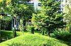 Apartament cu 5 camere decomandat în Floreasca - 28