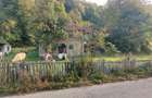 Casa de vanzare cu gradina teren de aprox 7000 mp,6.5 euro mp - 7