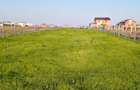 Teren de vanzare Zona Veterani | 1000 mp | Deschidere dubla - 2