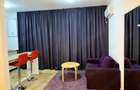 Studio modern/ Promenada/ Aurel Vlaicu - 2