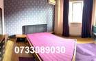 Apartament cu 3 camere decomandat în Prelungirea Ghencea - 10
