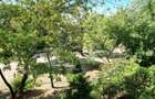 Apartament cu 3 camere decomandat în Țiglina 1 - 9