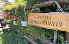 Hotel/Pensiune, de 115.45500183106 mp, în Ciocanu - 2