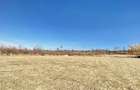 Teren Construcții intravilan de 10000 mp, în Tractorul - 4