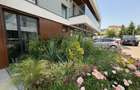 Apartament cu 3 camere decomandat în Iancu Nicolae - 11