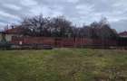 Teren intravilan Viile Satu Mare - 1