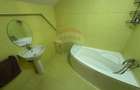 Apartament cu 3 camere decomandat în Vasile Aaron - 14