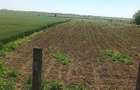 vand teren extravilan 1ha si 66 arii - 4
