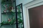 Apartament cu 2 camere decomandat în Central - 5