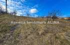 Teren în Călugareni - 12