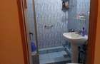 Apartament 1 camera -Alexandru cel Bun - 4