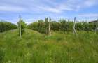 Teren de 3600 mp, în Bosanci - 1