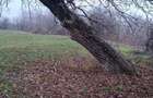Proprietar Teren intravilan DE VANZARE (negociabil) sat Bobolia -PH - 2