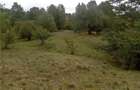 Teren de 16800 mp, în Central - 7