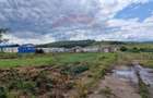 Teren intravilan in sat Zapodia, com. Traian, jud. Bacau, 39.600mp, - 11